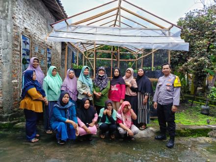 Persiapan Tebar Benih Jagung Pulut dan Pemupukan Labu Madu